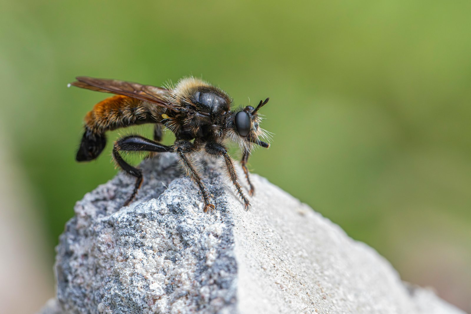 Publication de comptes-rendus